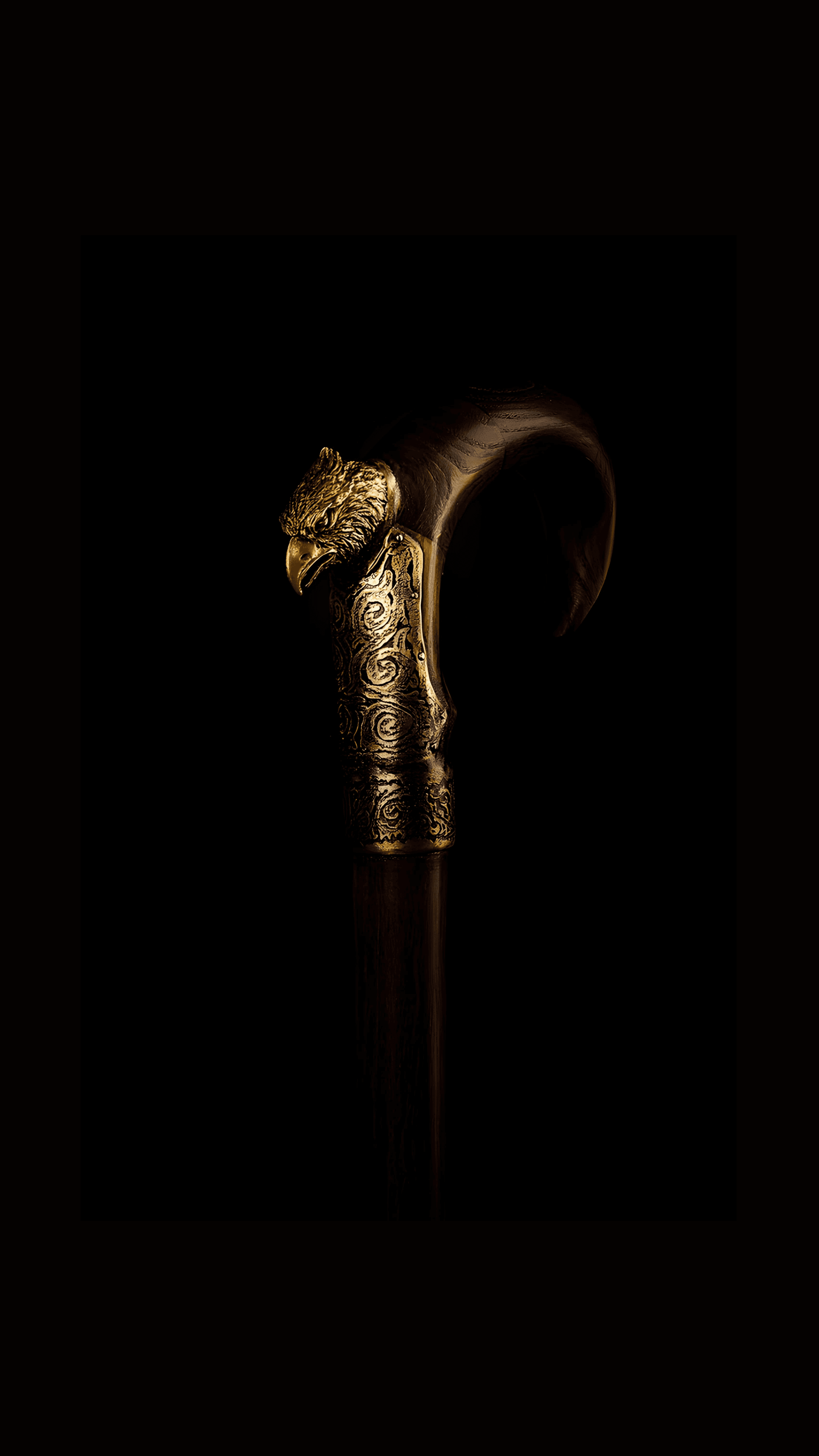 Marudhar Walking Stick - eagle-headed brass handle on chestnut wood